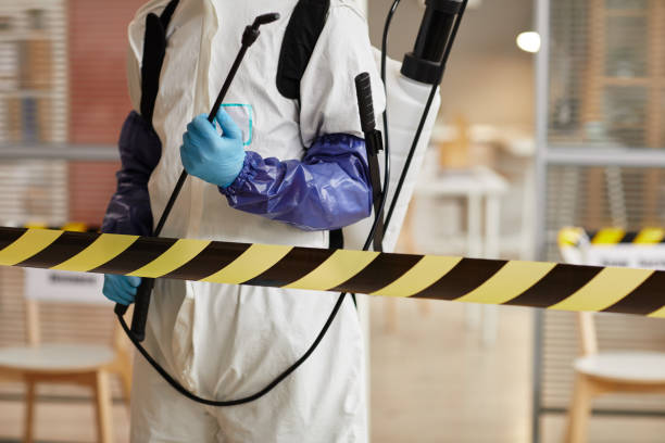 Professional Sewage Cleanup technician working in Alpaugh, CA